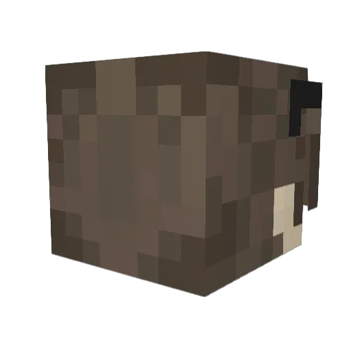 BookedSphere Minecraft avatar head, 3D render