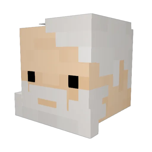 Bookeroo Minecraft avatar head, 3D render