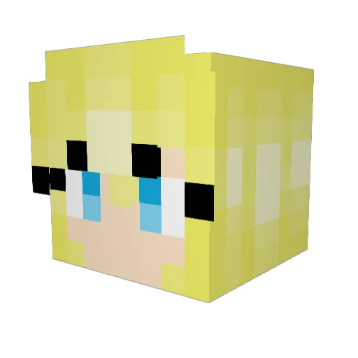 Bookets Minecraft avatar head, 3D render