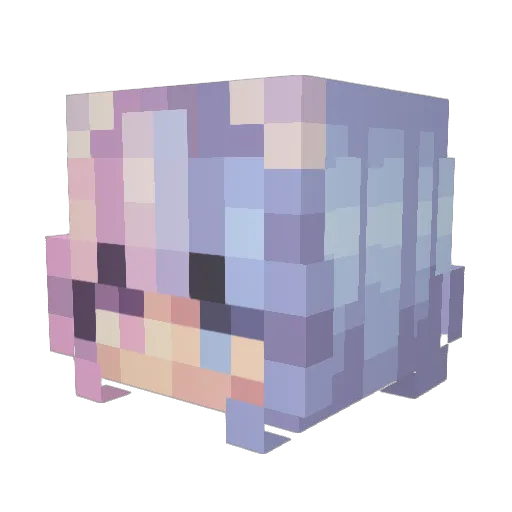Bookit Minecraft avatar head, 3D render