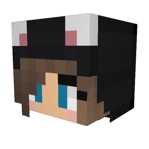 Booknerd2 Minecraft avatar head, 3D render