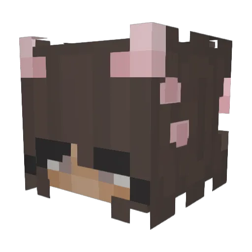 Booknsweets Minecraft avatar head, 3D render