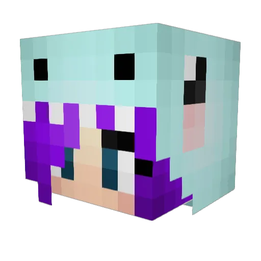 Bookworm1978 Minecraft avatar head, 3D render