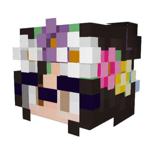 Bookworm9012 Minecraft avatar head, 3D render