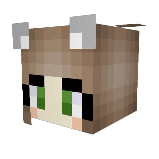 BookwormBrynn Minecraft avatar head, 3D render