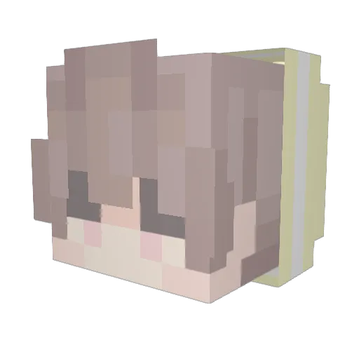 BoolDads Minecraft avatar head, 3D render
