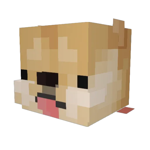 Boolenciaga1 Minecraft avatar head, 3D render