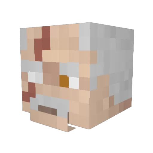 Booluuu Minecraft avatar head, 3D render