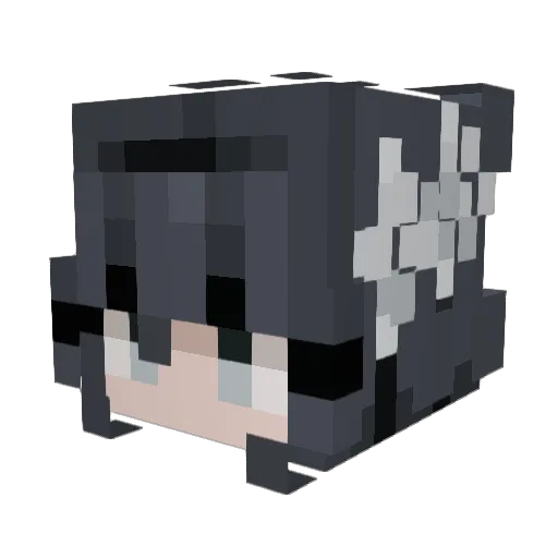 BoomBoomGirl1107 Minecraft avatar head, 3D render