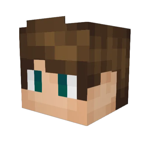 BoomSquirtle55 Minecraft avatar head, 3D render
