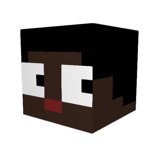 Boom_919 Minecraft avatar head, 3D render