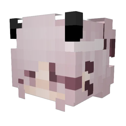 Boom_bob2020 Minecraft avatar head, 3D render