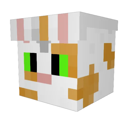 Boombewm12 Minecraft avatar head, 3D render