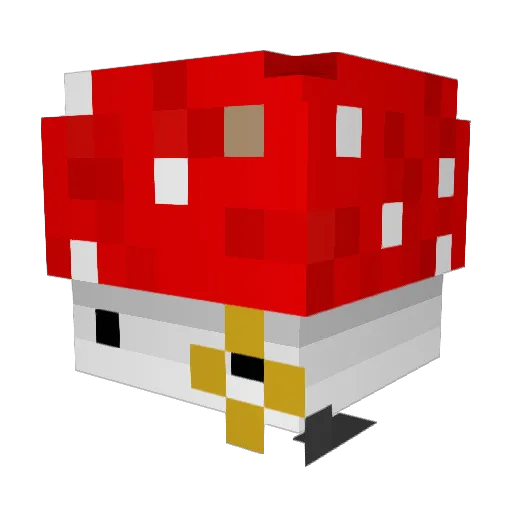 BoomerCookie123 Minecraft avatar head, 3D render