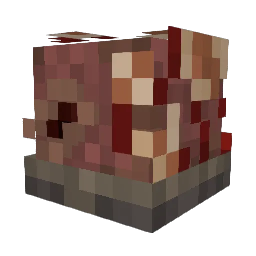 Boomer_Bros Minecraft avatar head, 3D render