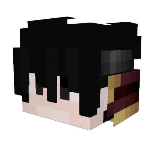 Boomer_Noises Minecraft avatar head, 3D render