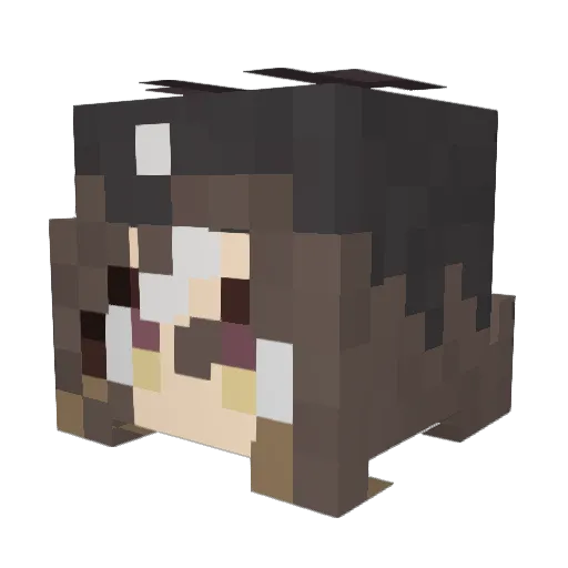 Boomerang101 Minecraft avatar head, 3D render
