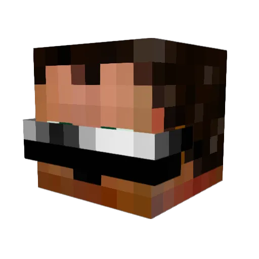 BoomerangFYS Minecraft avatar head, 3D render