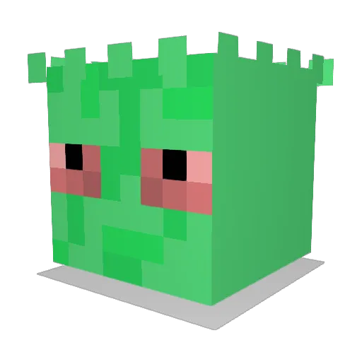 Boomerrrrr Minecraft avatar head, 3D render