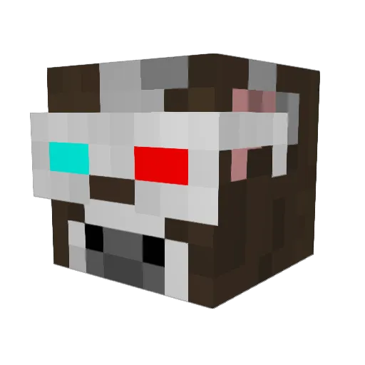 Boomey30 Minecraft avatar head, 3D render