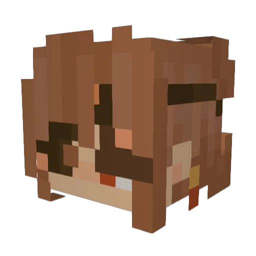 BoomieVan Minecraft avatar head, 3D render