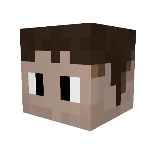Boomikins Minecraft avatar head, 3D render
