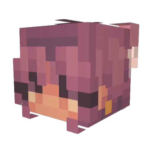 Boomshockalockaa Minecraft avatar head, 3D render