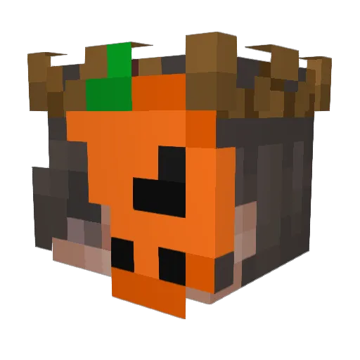 Boomslyy Minecraft avatar head, 3D render