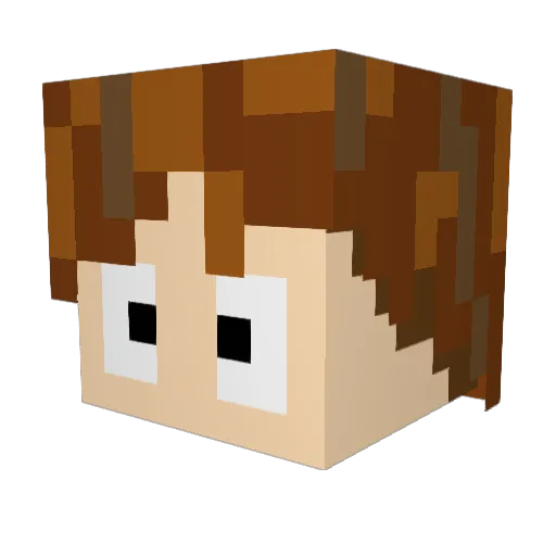 Boomy9426 Minecraft avatar head, 3D render