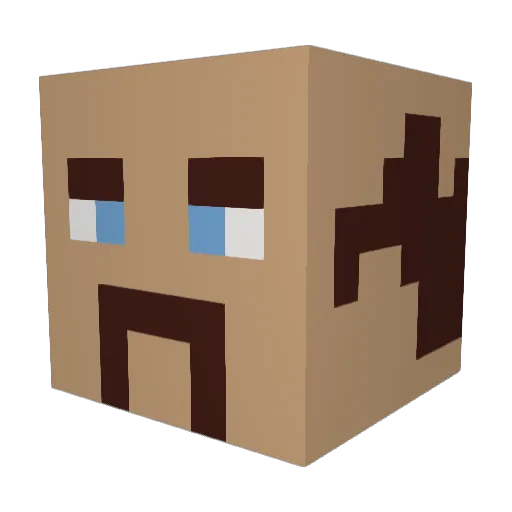 BoomyCactus8168 Minecraft avatar head, 3D render