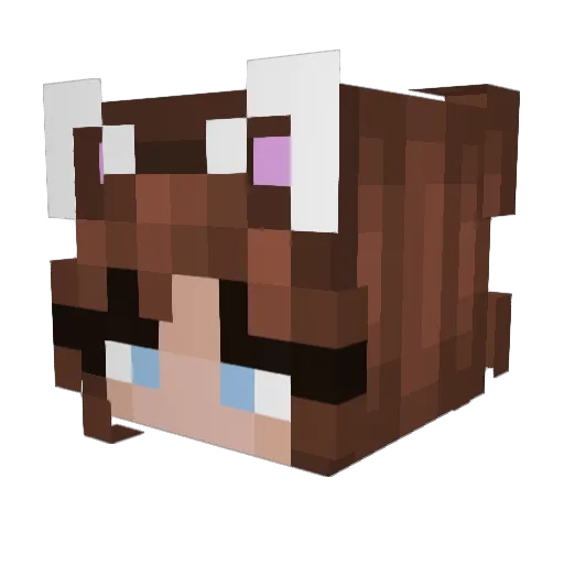 BoomyDamo2 Minecraft avatar head, 3D render