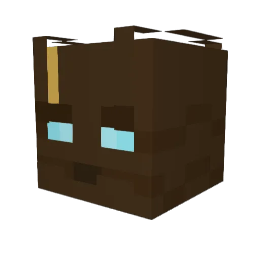 BoomyNRS Minecraft avatar head, 3D render