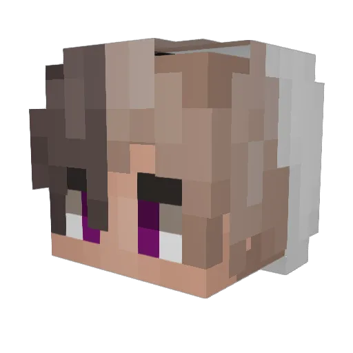 Boon_Boon Minecraft avatar head, 3D render