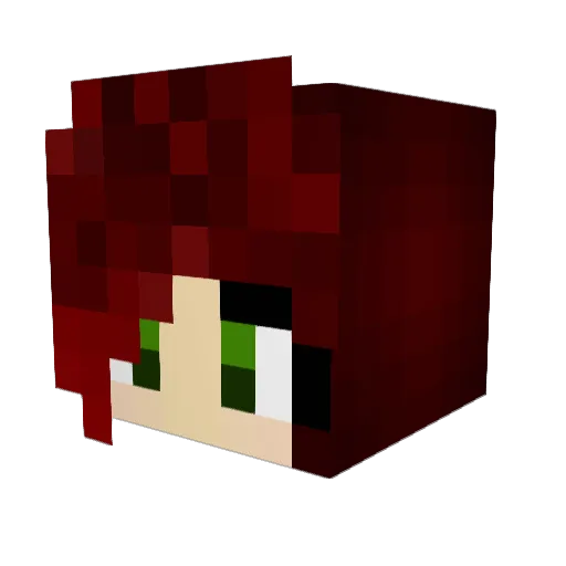 BooneLuvsU Minecraft avatar head, 3D render