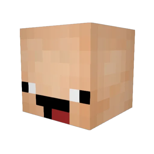 Booner51 Minecraft avatar head, 3D render