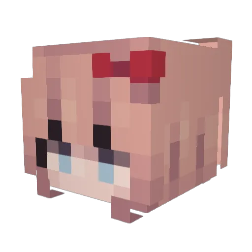 Boonpoodle Minecraft avatar head, 3D render