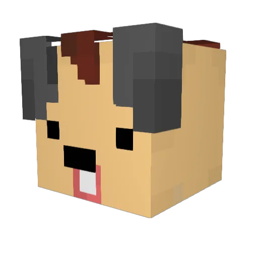 BoookBurger Minecraft avatar head, 3D render