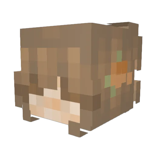 BoopaLuvsViolin Minecraft avatar head, 3D render