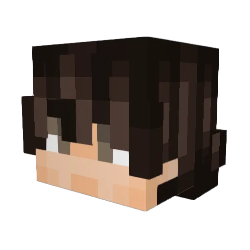 Boopas_ Minecraft avatar head, 3D render