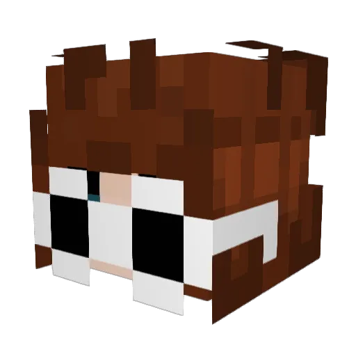 BooperDooper5103 Minecraft avatar head, 3D render