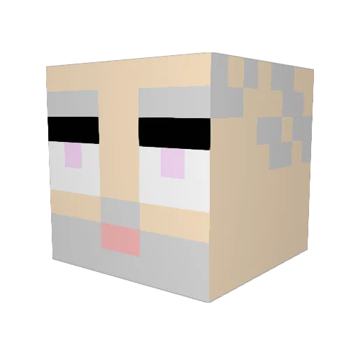 Booperzss Minecraft avatar head, 3D render