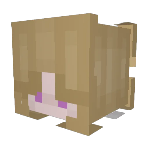Boopzy Minecraft avatar head, 3D render