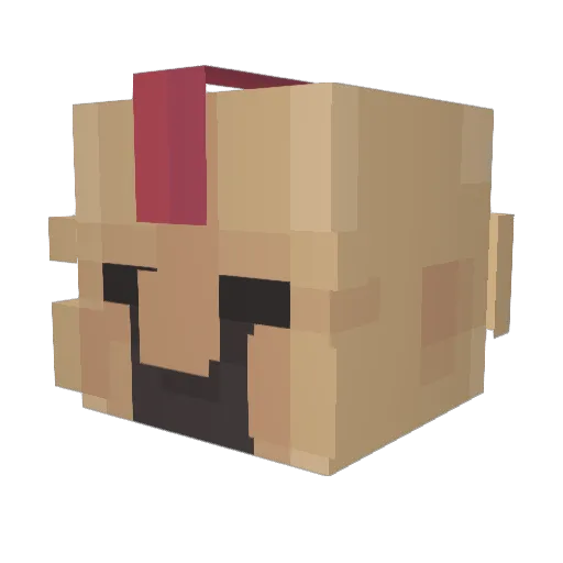 Booski22 Minecraft avatar head, 3D render