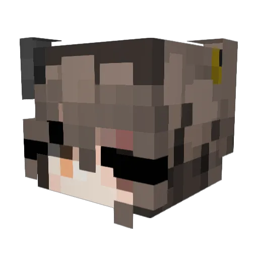 Boostedx10 Minecraft avatar head, 3D render