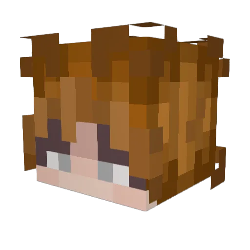 BootGoot123 Minecraft avatar head, 3D render