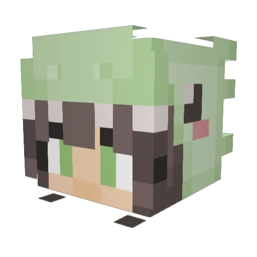 BootSnifferz Minecraft avatar head, 3D render