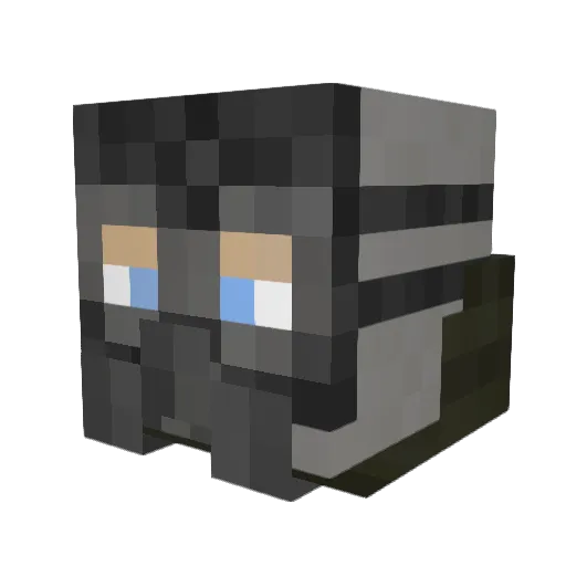 BooterSkid Minecraft avatar head, 3D render