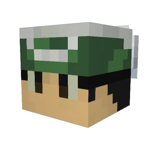 BootlegDane311 Minecraft avatar head, 3D render