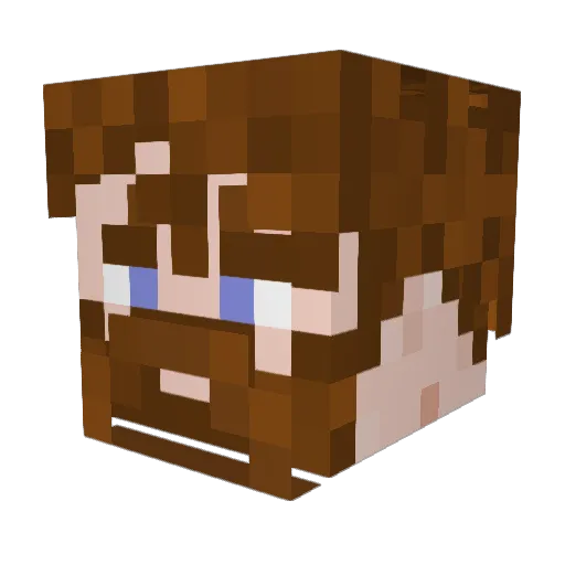 Bootup Minecraft avatar head, 3D render
