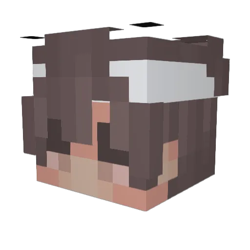 BootyKrumbs Minecraft avatar head, 3D render